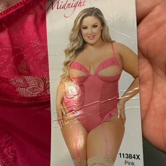 Seven Til Midnight Plus size Elegant Pink Lace and Mesh Teddy size 1X/2X - Picture 4 of 5